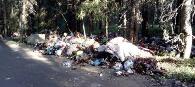 Житель Карелии обнаружил свалку мусора в заказнике "Заозерский" (ФОТО)