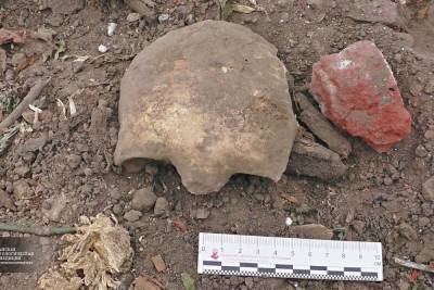 В центре Рязани нашли средневековый некрополь