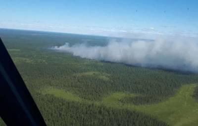 На Ямале потушили все природные пожары