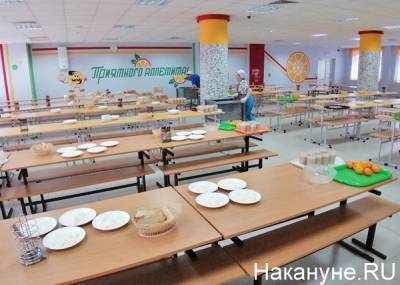 Регионы Урала получат 1,7 миллиарда на организацию бесплатного питания младшеклассников
