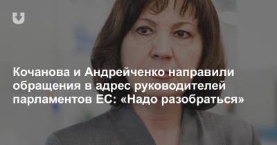 Кочанова и Андрейченко направили обращения в адрес руководителей парламентов ЕС: «Надо разобраться»