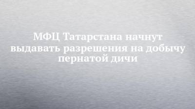 МФЦ Татарстана начнут выдавать разрешения на добычу пернатой дичи