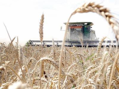 В Польше фермеры посадили пшеницу среди многоэтажек: комбайны возле ЖК покорили Сеть