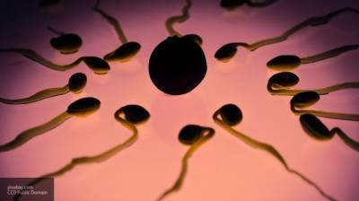 Шейка матки помогает женщине выбрать лучшие сперматозоиды