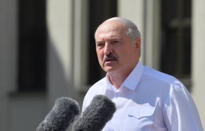 Студенты и выпускники МГУ потребовали лишить Лукашенко звания почётного профессора вуза