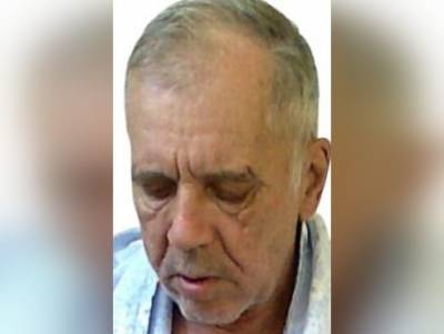 Пожилой мужчина потерялся в лесу в Богородском районе