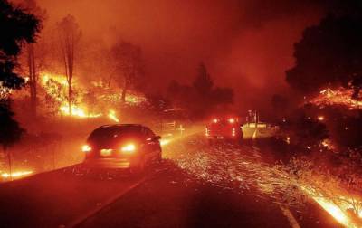 В США вспыхнули лесные пожары, есть погибшие