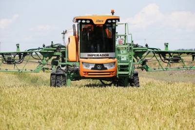 Более 20 тысяч тонн зерна с пестицидами обнаружили на Ставрополье