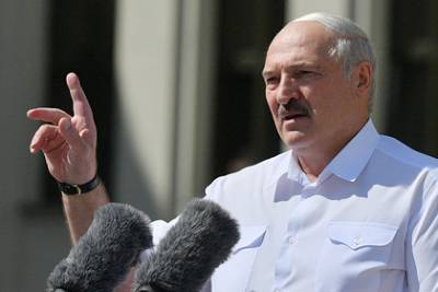 Лукашенко посоветовал вместо забастовок выращивать кур и коров