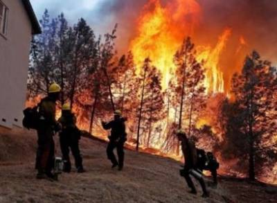 В Калифорнии из-за лесных пожаров эвакуированы более 50 тысяч человек