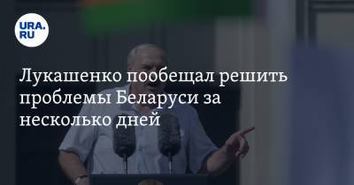 Лукашенко пообещал решить проблемы Беларуси за несколько дней