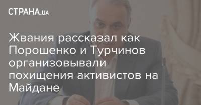 Жвания рассказал как Порошенко и Турчинов организовывали похищения активистов на Майдане