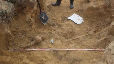 В Ленобласти археологи изучают обнаруженный детьми средневековый могильник