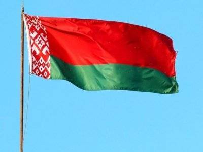 Латвия и Эстония решили ввести индивидуальные санкции против должностных лиц Беларуси