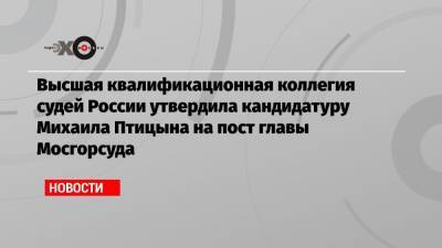 Высшая квалификационная коллегия судей России утвердила кандидатуру Михаила Птицына на пост главы Мосгорсуда