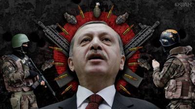 Турецкие демократы призвали Эрдогана вывести войска из Ливии, Ирака и САР