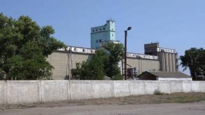 Харьковская СБУ разоблачила трех чиновников в хищении зерна из Госрезерва на 2,5 млн грн