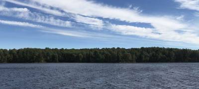Опубликованы результаты проверки воды в озере Контокки в Карелии