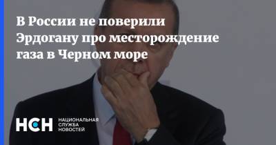 В России не поверили Эрдогану про месторождение газа в Черном море