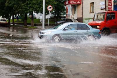 Все выходные в Петербурге будут лить дожди