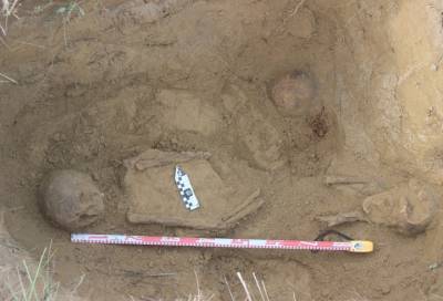 Археологи СПбГУ исследуют средневековый могильник во Всеволожском районе