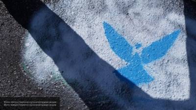 Волонтеры "Синей птицы" закрасят рекламу наркотиков в Петербурге