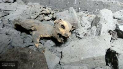 Обнародовано необычное содержимое древнеегипетских мумий