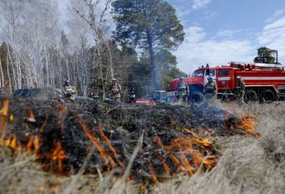 За сутки в России потушили 37 лесных пожаров