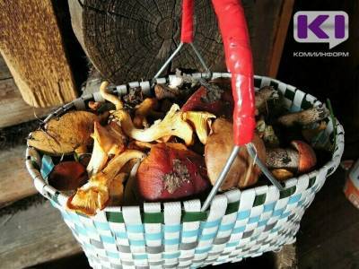 Не выбрасывать червивые грибы просят жителей Сыктывкара сотрудники конного центра "Аврора"