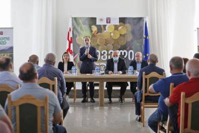 Ртвели-2020: В Кахетии начали подготовку к сбору винограда в условиях пандемии