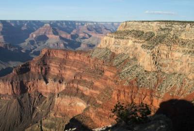На валуне в Большом каньоне обнаружили окаменелые следы возрастом 313 миллионов лет
