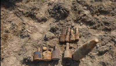 В Тверской области обезвредили несколько десятков гранат и мин времен войны