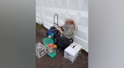 Бизнес на детях: в Ярославле отняли малышей у "коробочницы"