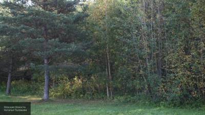 Пропавшую жительницу Новосибирска нашли мертвой в лесу