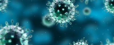 За сутки в России выявили 4 921 случаев коронавируса