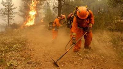 Эвакуацию из-за лесных пожаров начали в Калифорнии