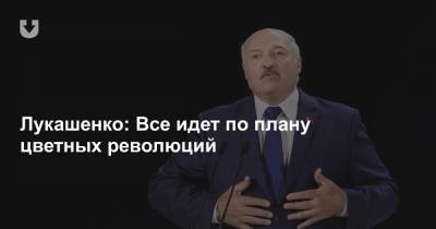 Лукашенко: Все идет по плану цветных революций