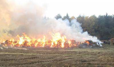 Под Солигорском в поле сгорело 40 тонн соломы