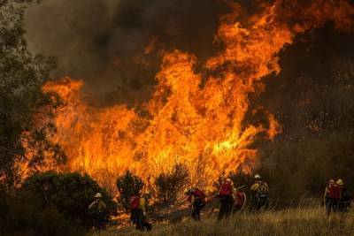 В Калифорнии эвакуировали 119 тысяч человек из-за лесных пожаров
