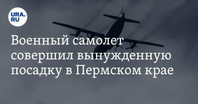 Военный самолет совершил вынужденную посадку в Пермском крае