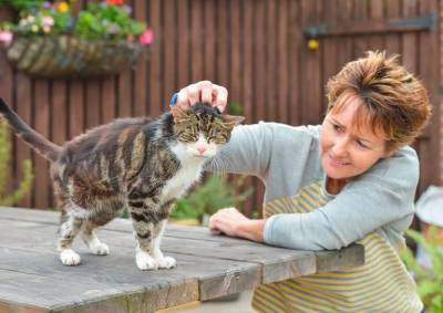 Пропавшая кошка воссоединилась с хозяйкой спустя 13 лет