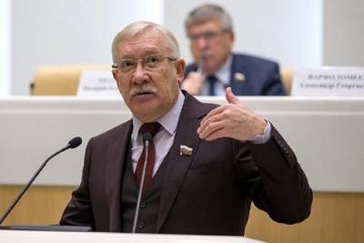 Сенатор назвал нелепыми заявления о причастности России к перевороту в Мали