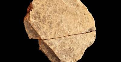 Что нарисовал на камне древний человек 15 тысяч лет назад: археологи показали уникальную находку