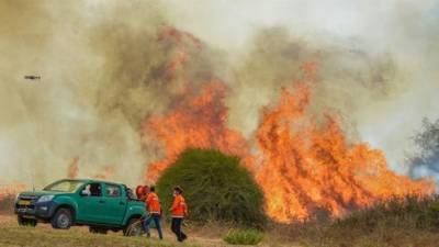 Огненный террор из Газы вызвал 7 пожаров в Негеве