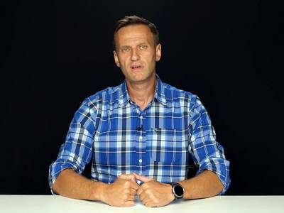 «Заболел» — и это его личное дело: Пархоменко объяснил слова властей об отравлении Навального