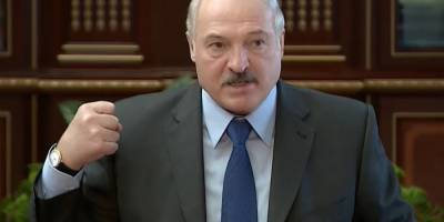 Лукашенко потребовали лишить звания почётного профессора МГУ