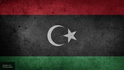 Режим прекращения огня в Ливии поддержали ОИС и Тунис