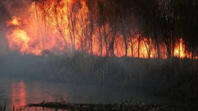 Чрезвычайная пожарная опасность сохранится в Крыму до четверга