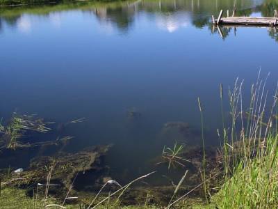 В Одесской области пропавшего 8-летнего ребенка нашли мертвым в пруду