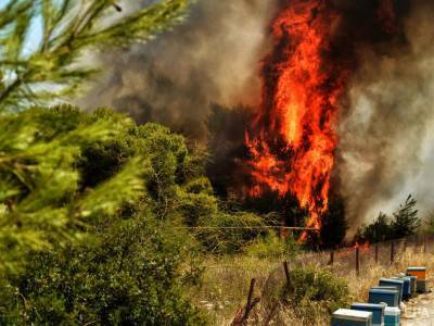 В Греции эвакуировали жителей пяти деревень из-за крупного лесного пожара - gordonua.com - Греция - Салоники